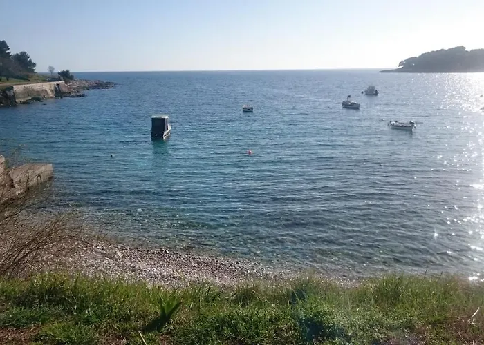 Aleksandra Πούλα